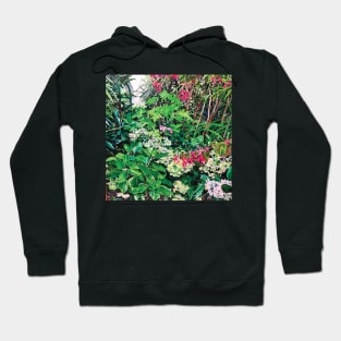 Conservatory garden 1 by Jo Reitze Hoodie